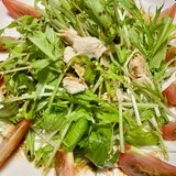 水菜と蒸し鶏のバルサミコ酢サラダ